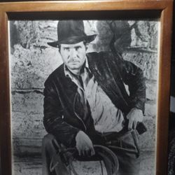 Framed Indiana Jones Pictures.
