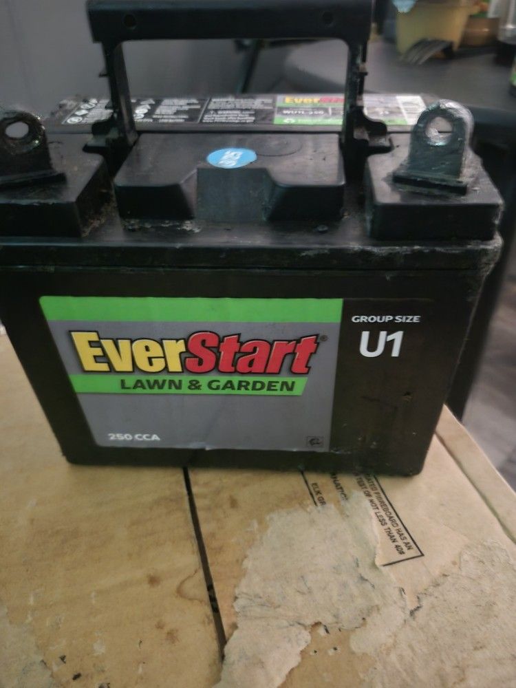 EverStart 12 V