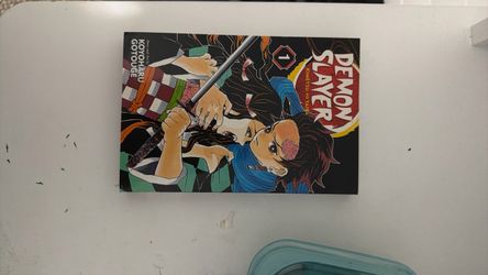 Demon slayer volume 1