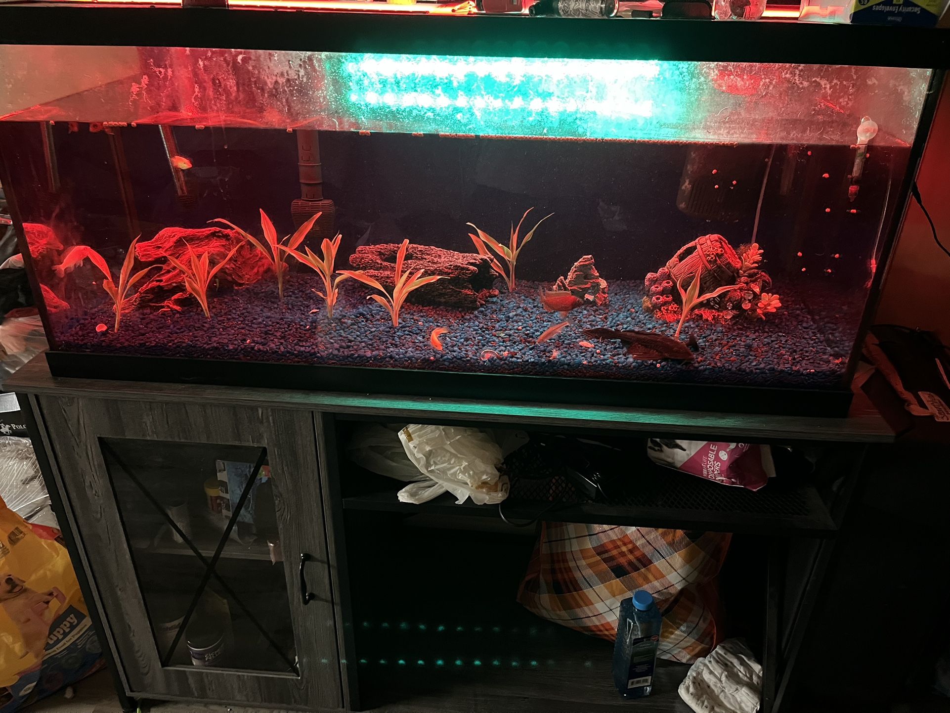75 Gallon Fish tank With Stand And Fish