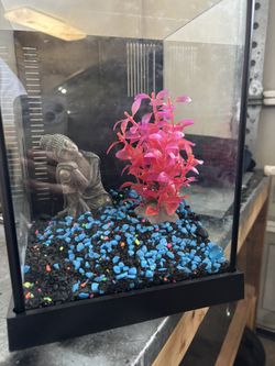 Fish Tank