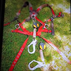 Safety Harness