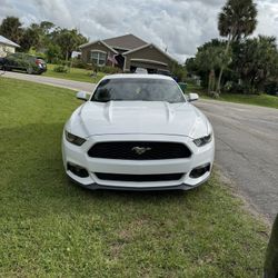 Mustang Ecoboost