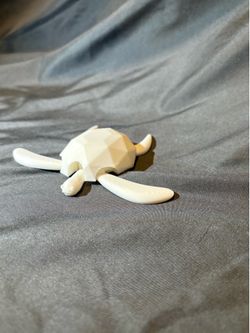 Cute turtle
