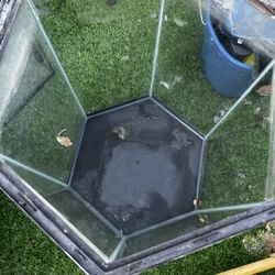 5 Dollar Sale, Everything Here Is 5 Dollars !