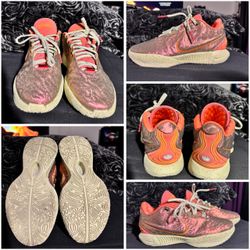 Nike LeBron queen, conch sneakers