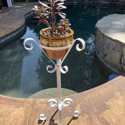 Plant Holder With Potted Plant 