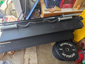 Rogue Ohio bar and curl bar