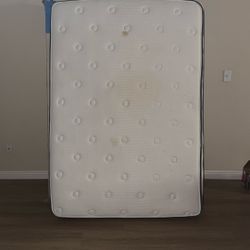 Mattress Full Size and Spring Box 