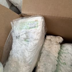 Size One Diaper