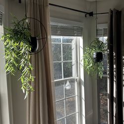 Hanging Artificial Plants 