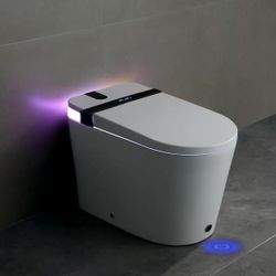 Abruzzo Smart Toilet with Bidet Seat Built-in, Auto Open/Close Seat, Foot Sensor, LED Display, Night Light, Warm Water and Dryer S21G This premium sm