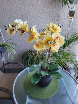 Artificial Yellow Phalaenopsis Orchid Arrangement
