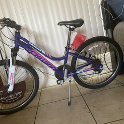 Bicicleta Schwinn 24”