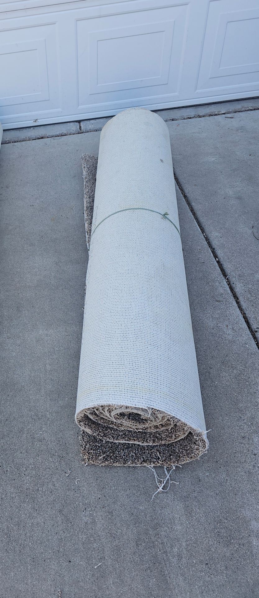 Used Carpet For dog size 142 x 52 inch