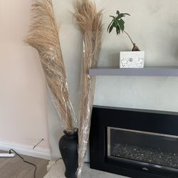 Pompous grass