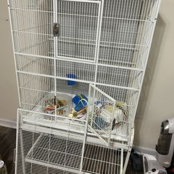 Birds Cage 