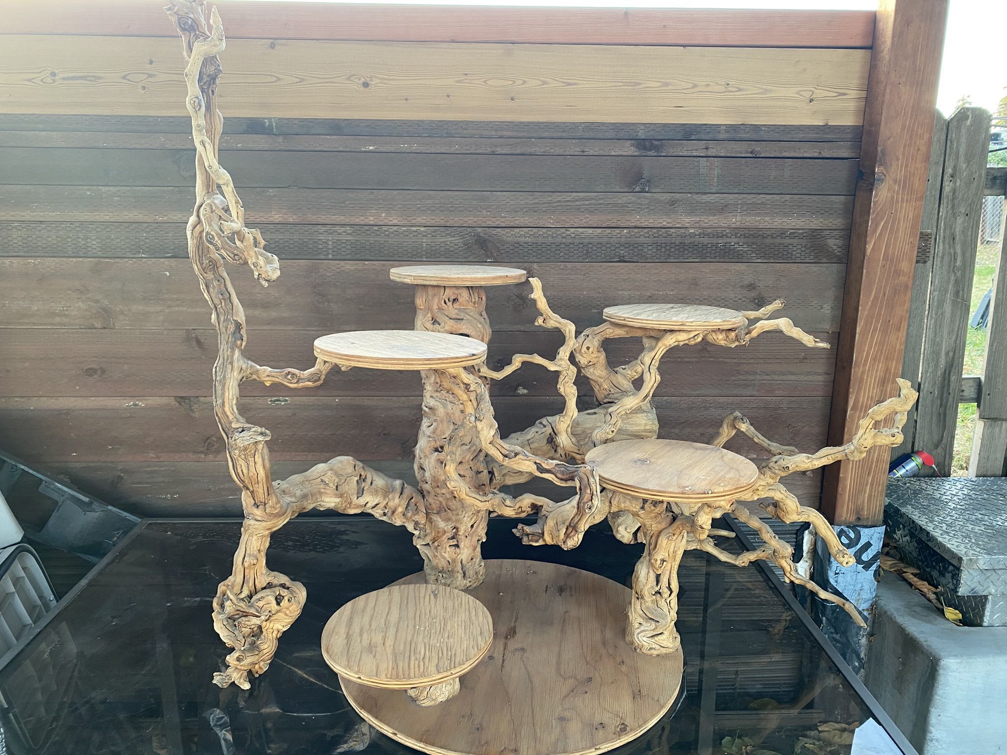 Cake Stand