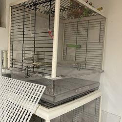 cage for quaker parrot babies