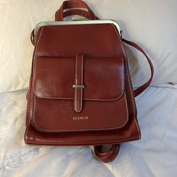 Red Backpack Purse 