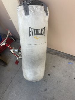 Punching Bag