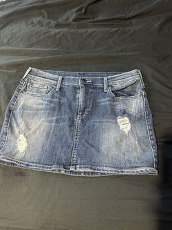 True Religion Skirt