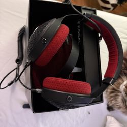 Focal Headphones 