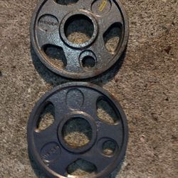 Pair of 10 Lb gripper plates Olympic 