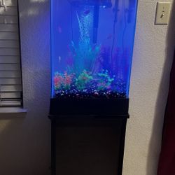 Fish Tank