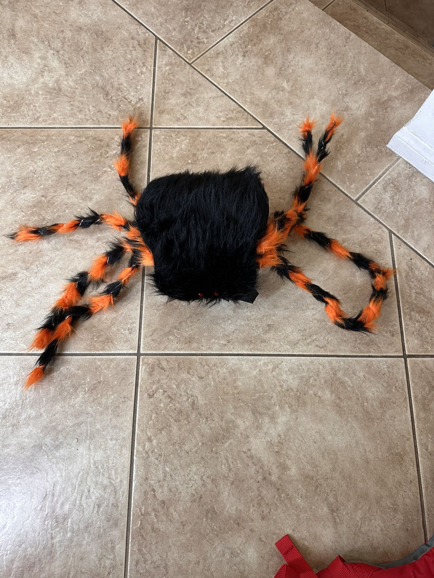 Halloween Dog Costumes