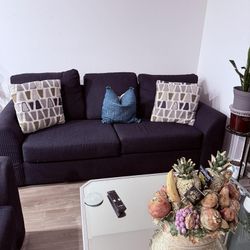 Living Room Furnitures (Sofa, Center Table, Console Table)
