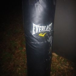 Everlast.  Body Bag Like New  100lb