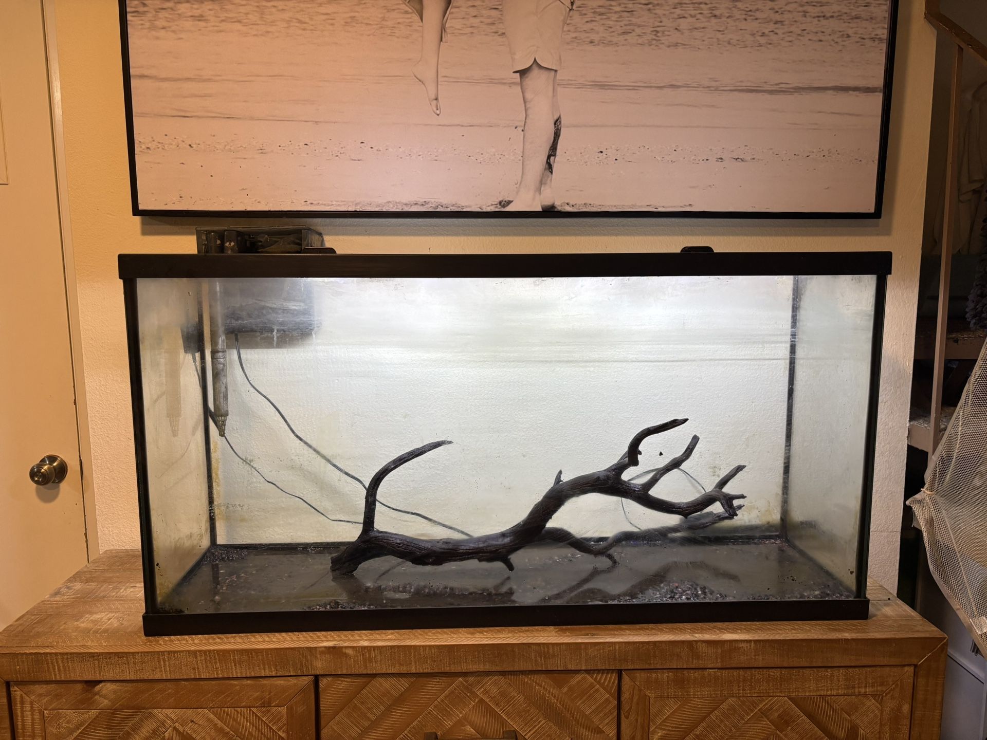70 Gallon Fish Tank Aquarium & Filter With Driftwood