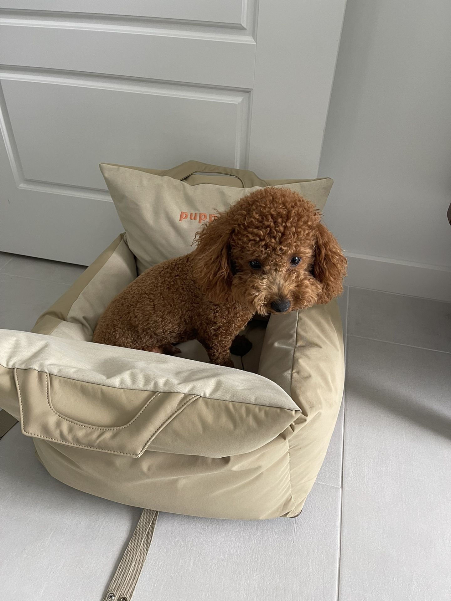 Puppia Car Seat Waterproof Beige For Dogs With Carrying Straps & Safety Belt