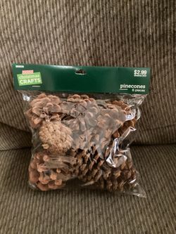 Brand New Pinecones - 6 count. We have four packages for $1 each.
