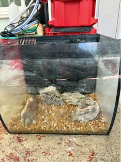 Fish tank 12 gallons