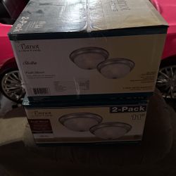 Patriot Lighting 2 Pack Flush Mount X2 