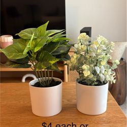 Faux Succulents & Plants Decor