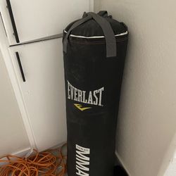 mma punching bag
