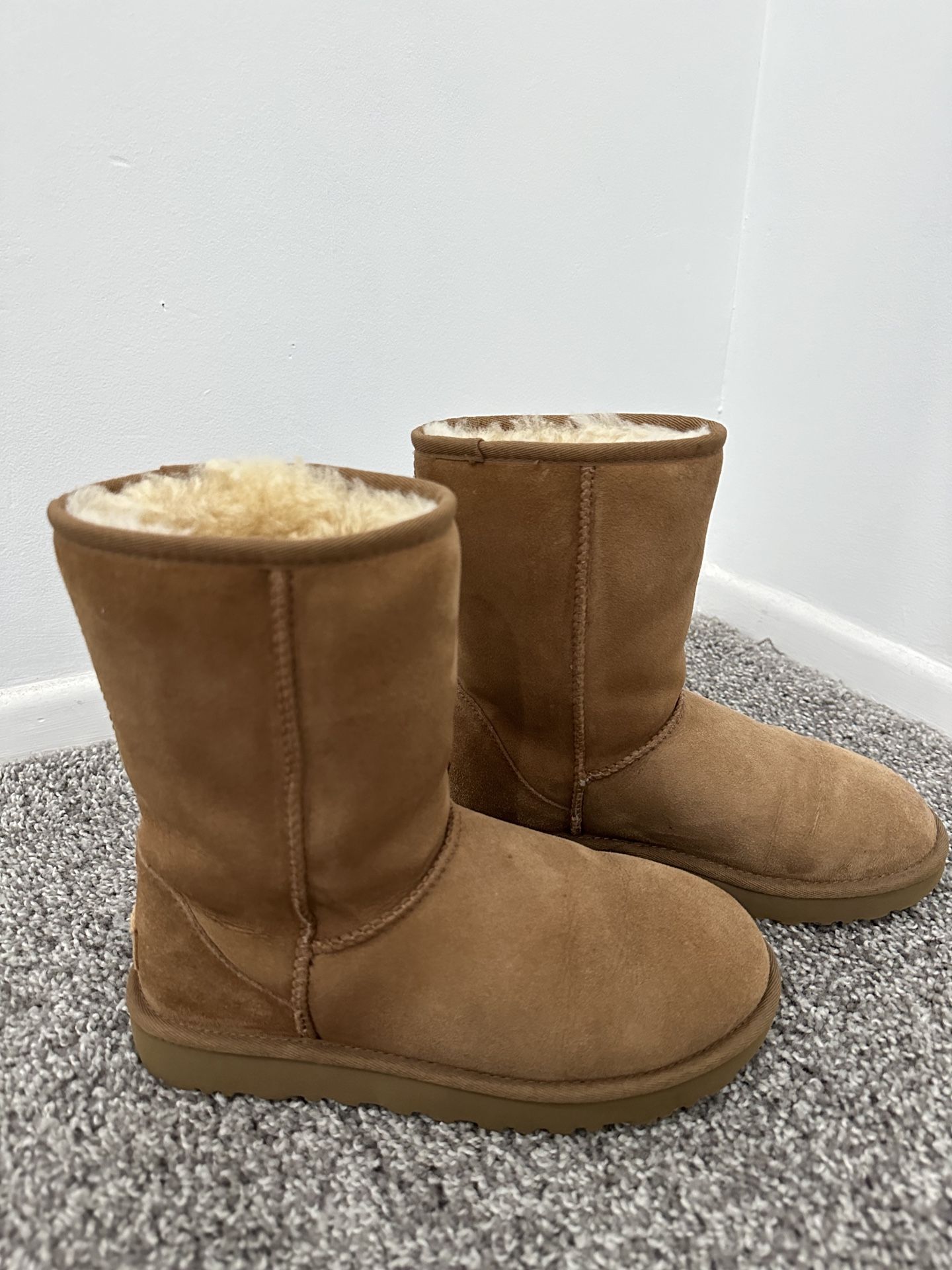 Ugg 6