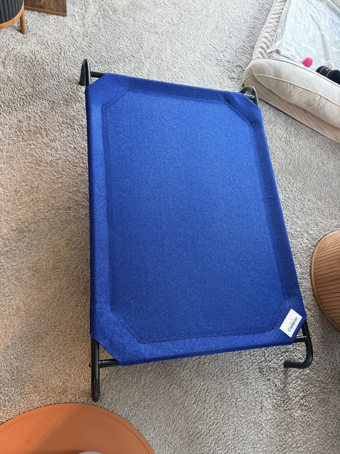 Large Elevated Dog Bed