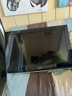 VENDO TELEVISIÓN DE PARED EN PERFECTAS CONDICIONES $100