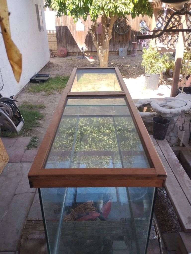 Reptile Tank