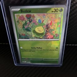 Budew (Master Ball Pattern) 004/131 Prismatic Evolutions Holo NM Fresh Pull 