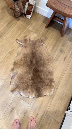 Small animal pelt