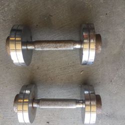 Pair of chrome dumbbells