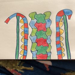 Candy Cane Center Drawing