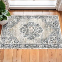 Washable 2x3 Entryway Area Rug 