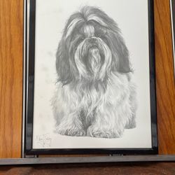Dog Portrait 
