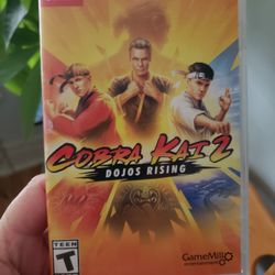 Nintendo Switch Game